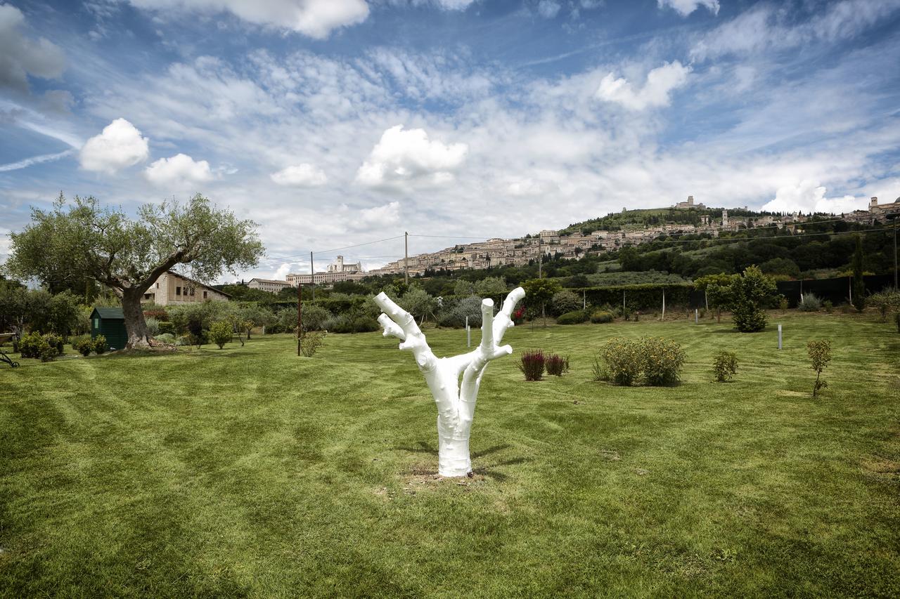 Tenuta San Masseo - Boutique Farm Resort & Spa Assisi Exteriér fotografie
